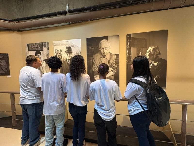 exposições gratuitas