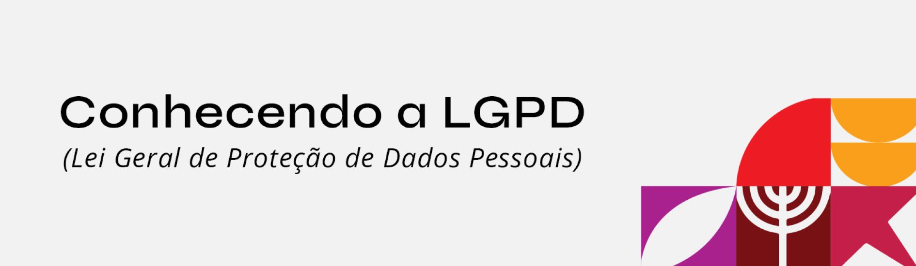 Banner-Site---LGPD (1)